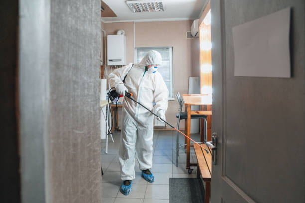 Biohazard Mold Removal in Murray, UT